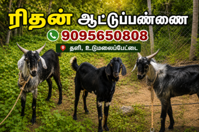 ரிதன் ஆட்டுப்பண்ணை (Ridhan Goat Farm)